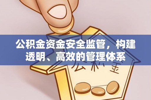 常宁公积金资金安全监管，构建透明、高效的管理体系