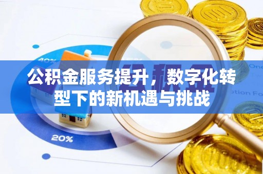 常宁公积金服务提升，数字化转型下的新机遇与挑战