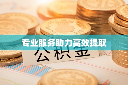 常宁专业服务助力高效提取