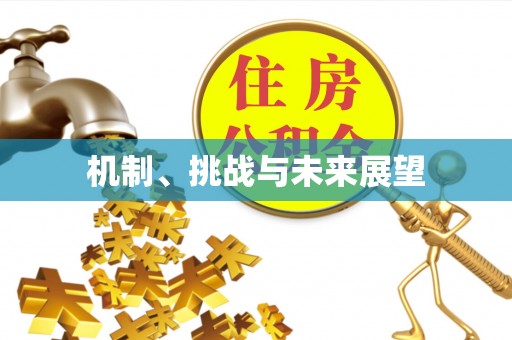 常宁机制、挑战与未来展望